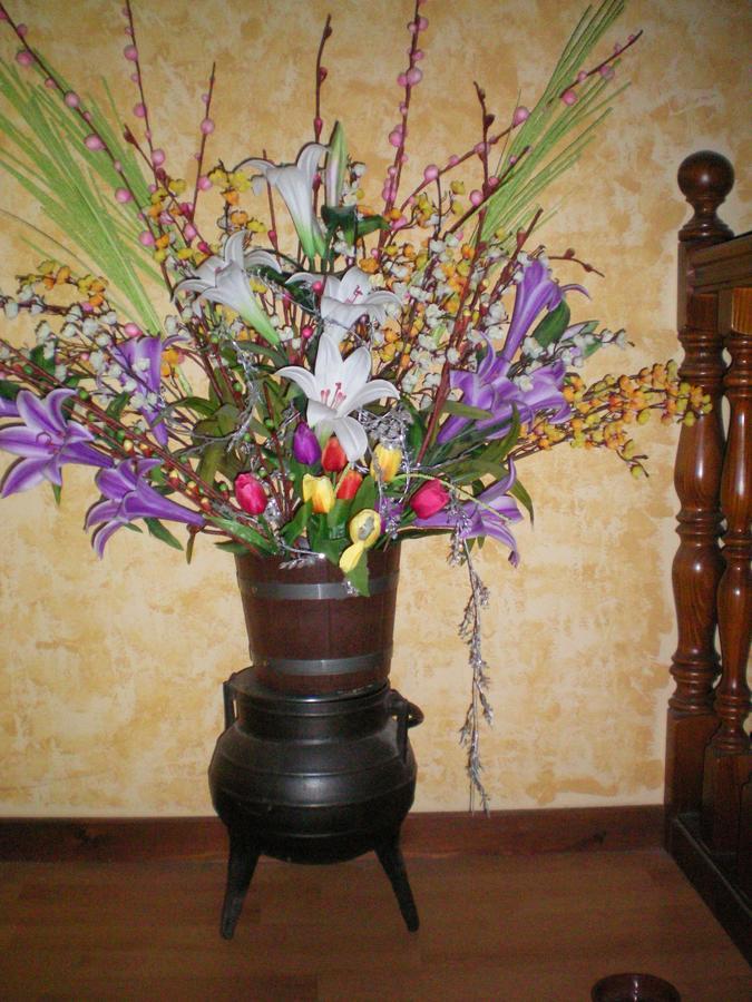 Hotel Rural Los Perales San Vitero 外观 照片